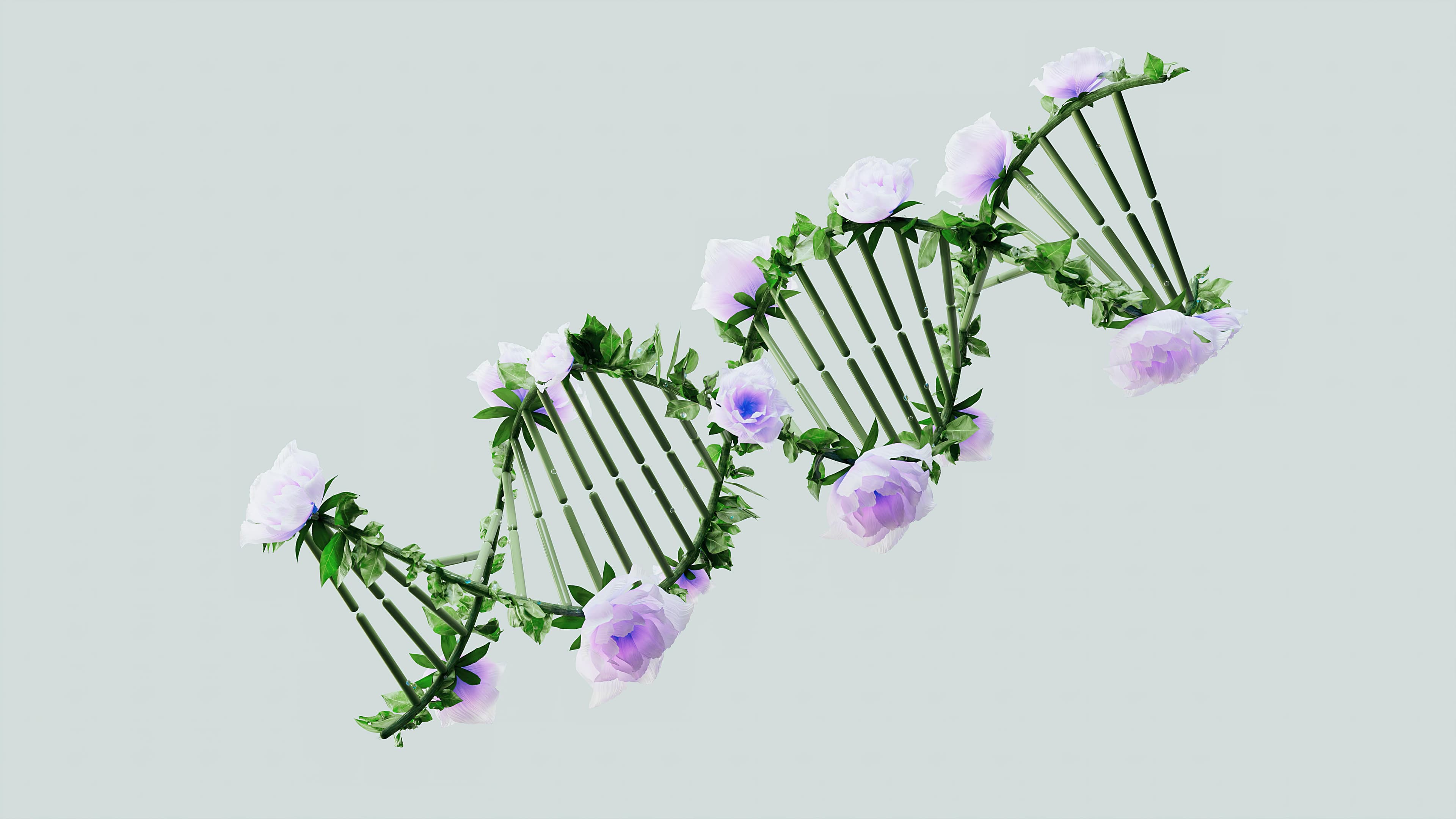 Carnitine Therapy